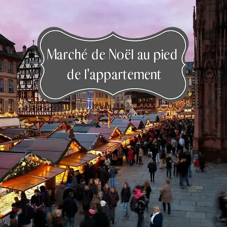 ☆ ☆ Calme & Lumineux - Centre ☆ 公寓 斯特拉斯堡